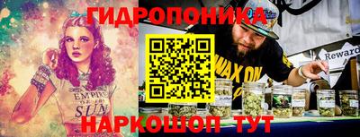 индика Обь