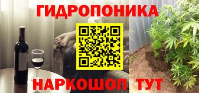 индика Обь