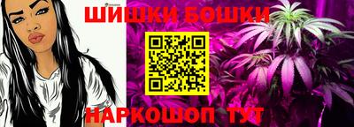 индика Обь
