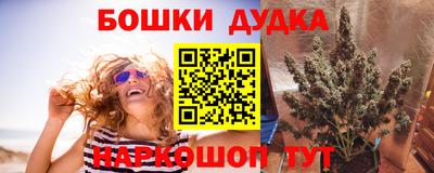индика Обь