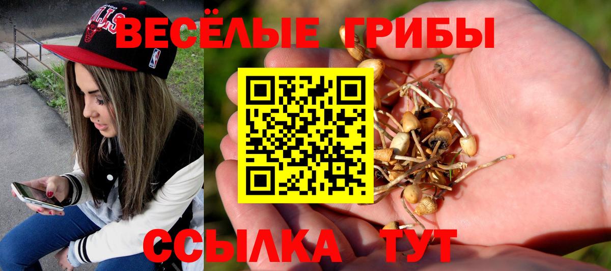 Галлюциногенные грибы Magic Shrooms Тимашёвск