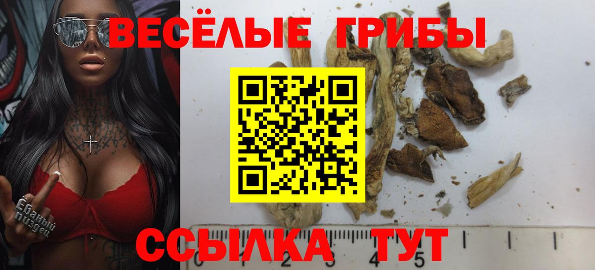 Галлюциногенные грибы GOLDEN TEACHER  Вход с VPN  Тимашёвск 